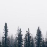 3d开奖结果第97期最新开奖号码精准公布 2jrgud8v4p