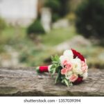 3d开奖结果第298期最新开奖号码已公布 wft3r1